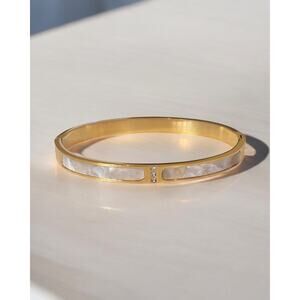 Luxurious Titanium Steel Bangle Bracelet